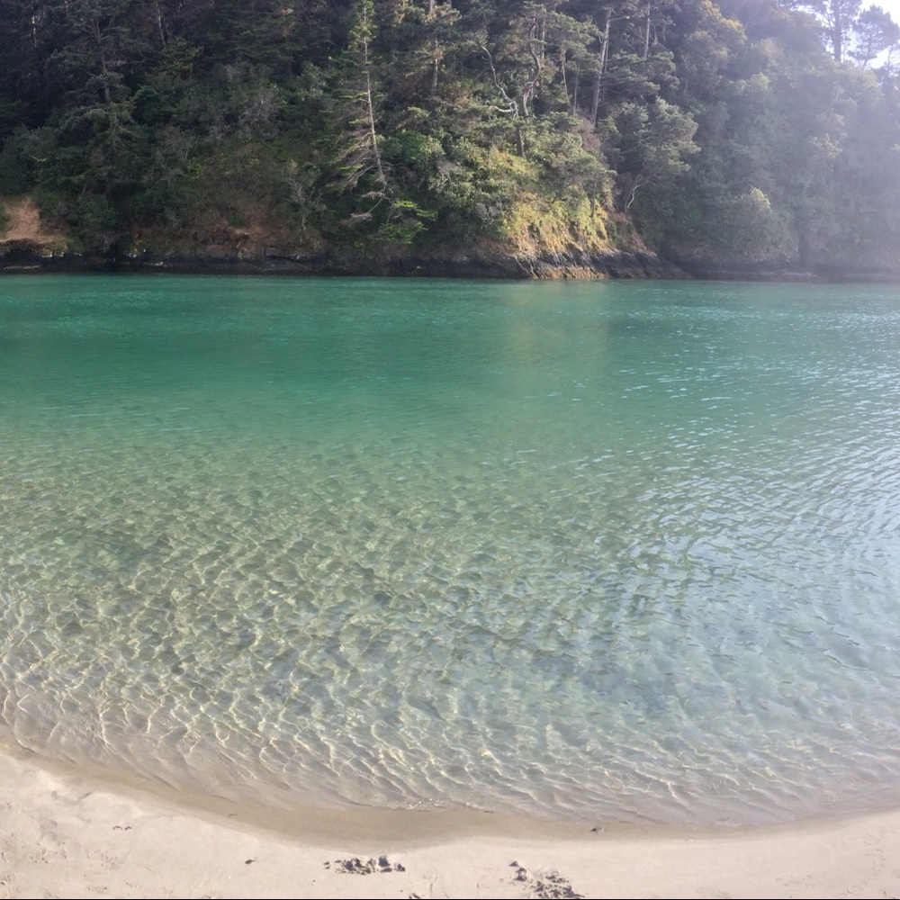 Meet your Posher, Garnet